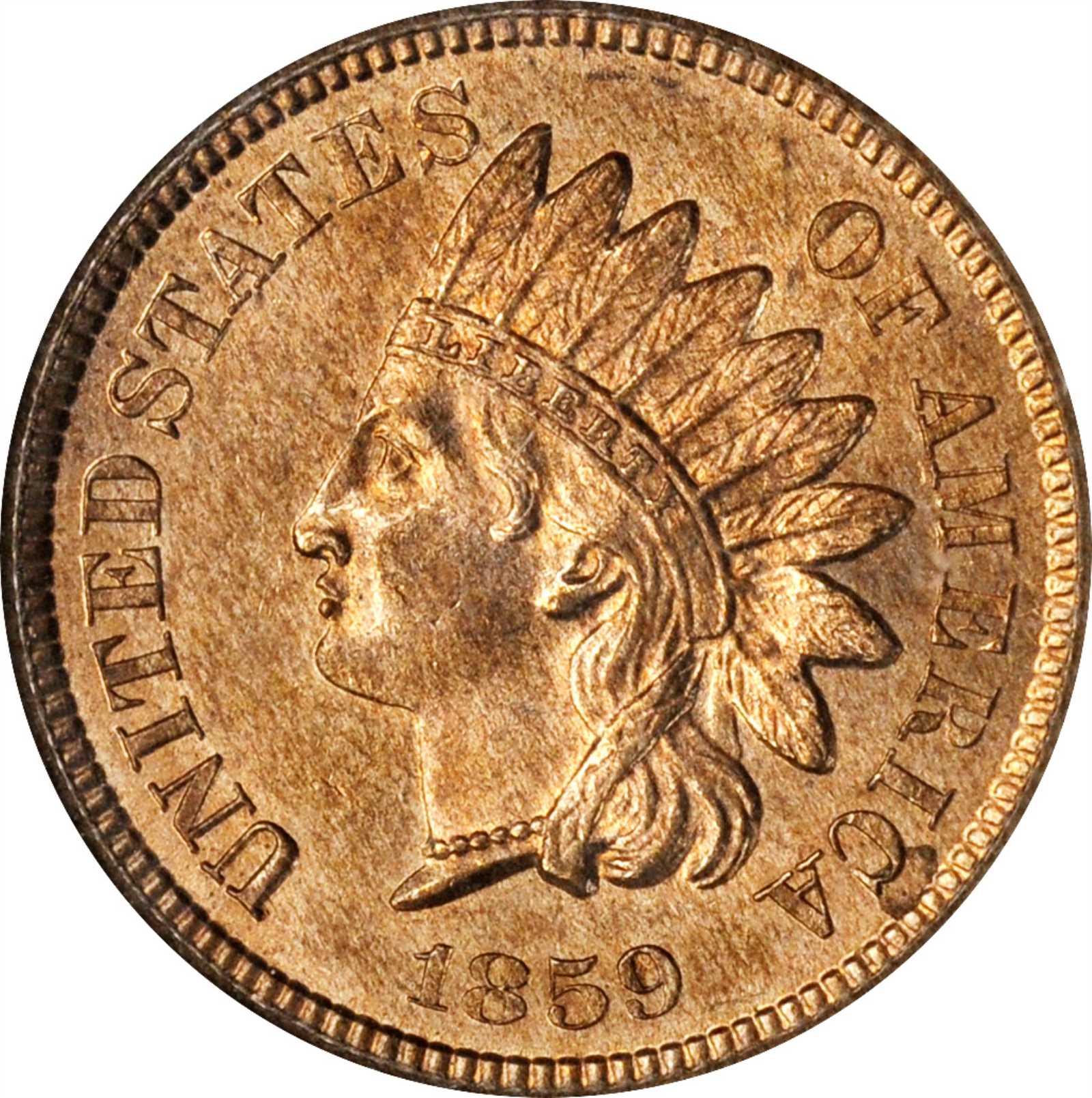 1859 Indian Head Cent : A Collector's Guide